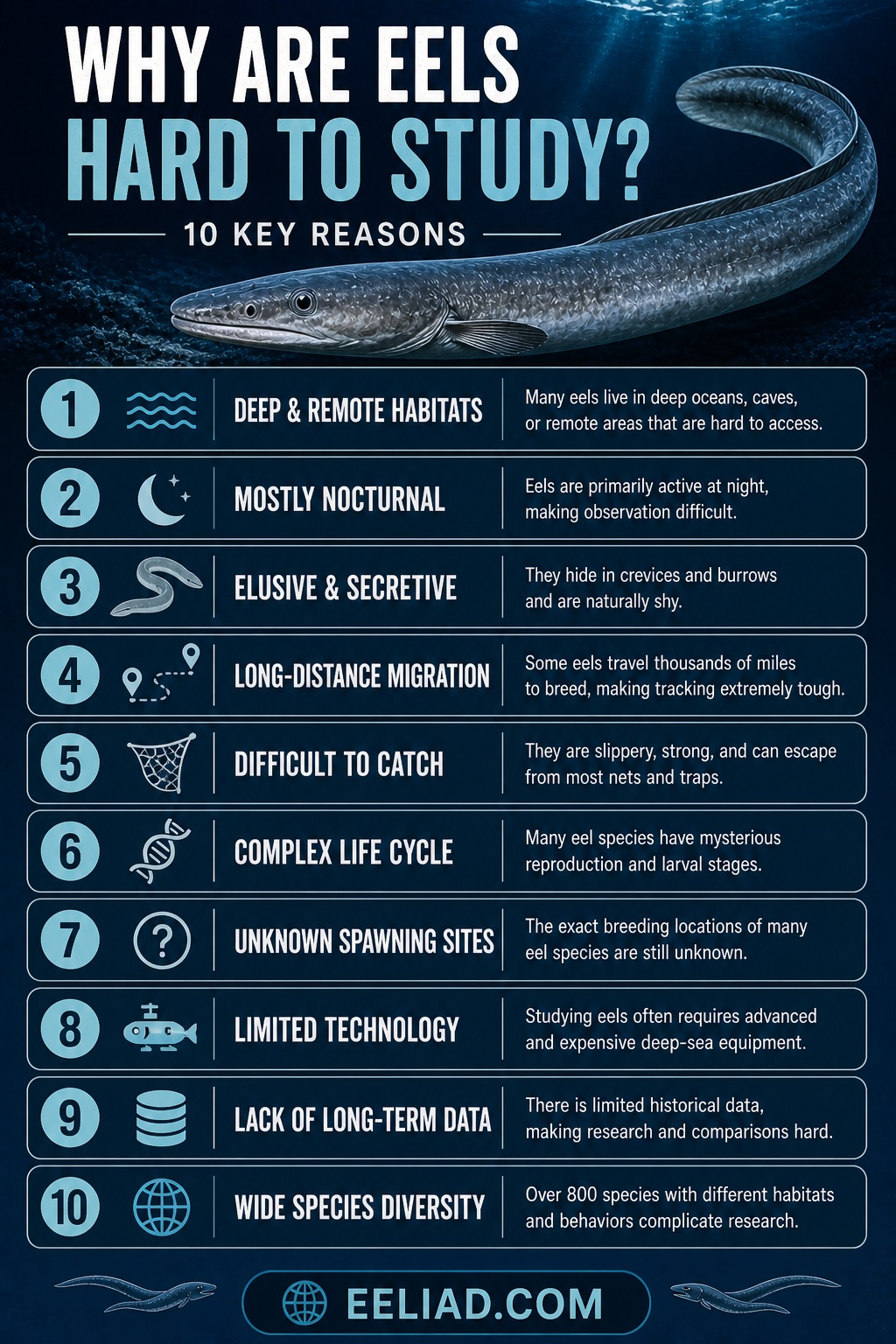 Why Are Eels Hard To Study